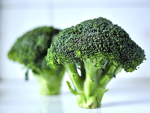 常年提供西兰花 绿色营养蔬菜 富硒产品 厂家直销 优质蔬菜